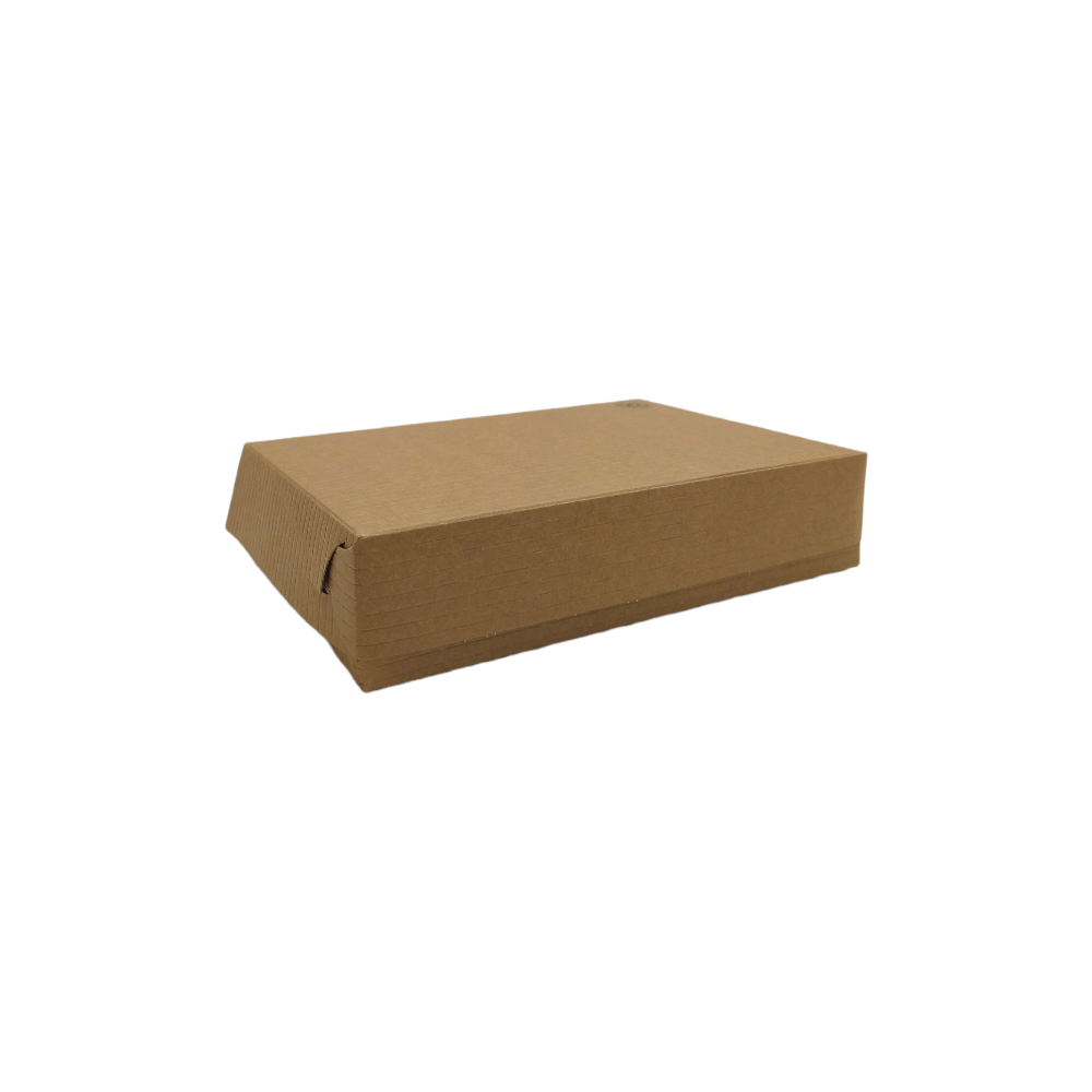 NATURAL BOX ΜΟΝΗ ΜΕΡΙΔΑ 22Χ16Χ5 (100ΤΜΧ)