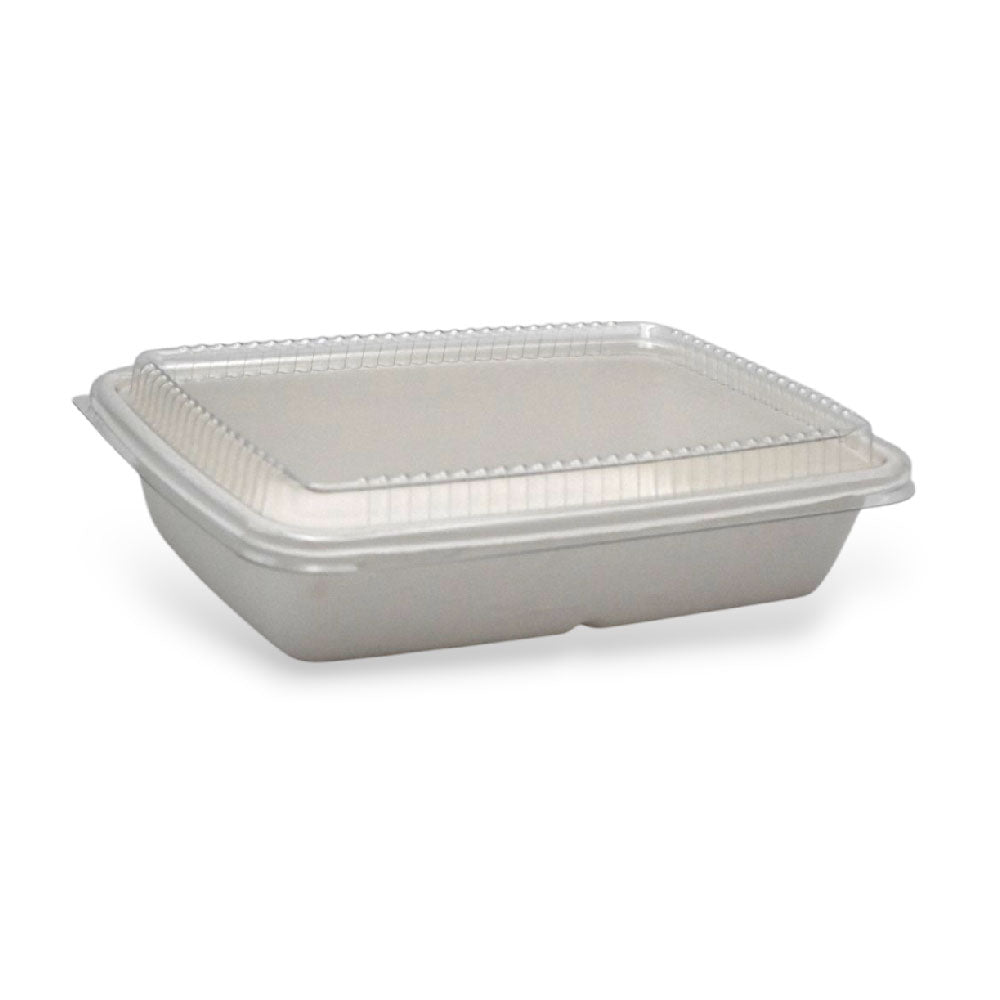 ΠΑΡΑΛ/ΜΟ FIBER ΜΕ PET ΚΑΠΑΚΙ 16.5X23X4.5 (50ΤΜΧ)